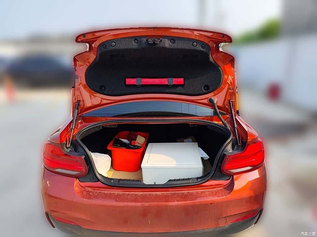 BMW 2 Series, 2018 10