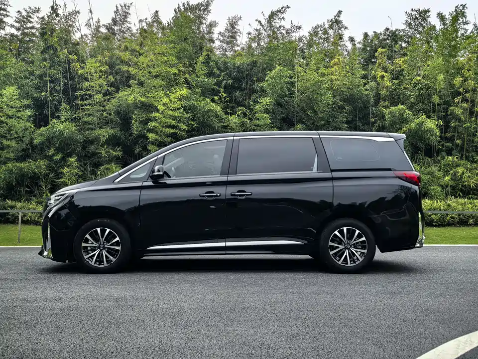 Trumpchi Trumpchi M8