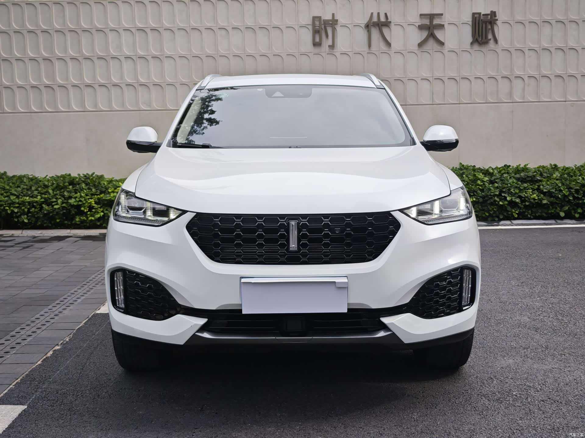 WEY VV6, 2019 2