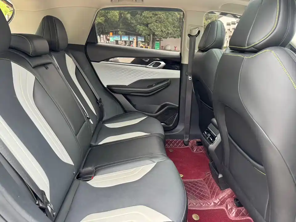 Geely Binrui