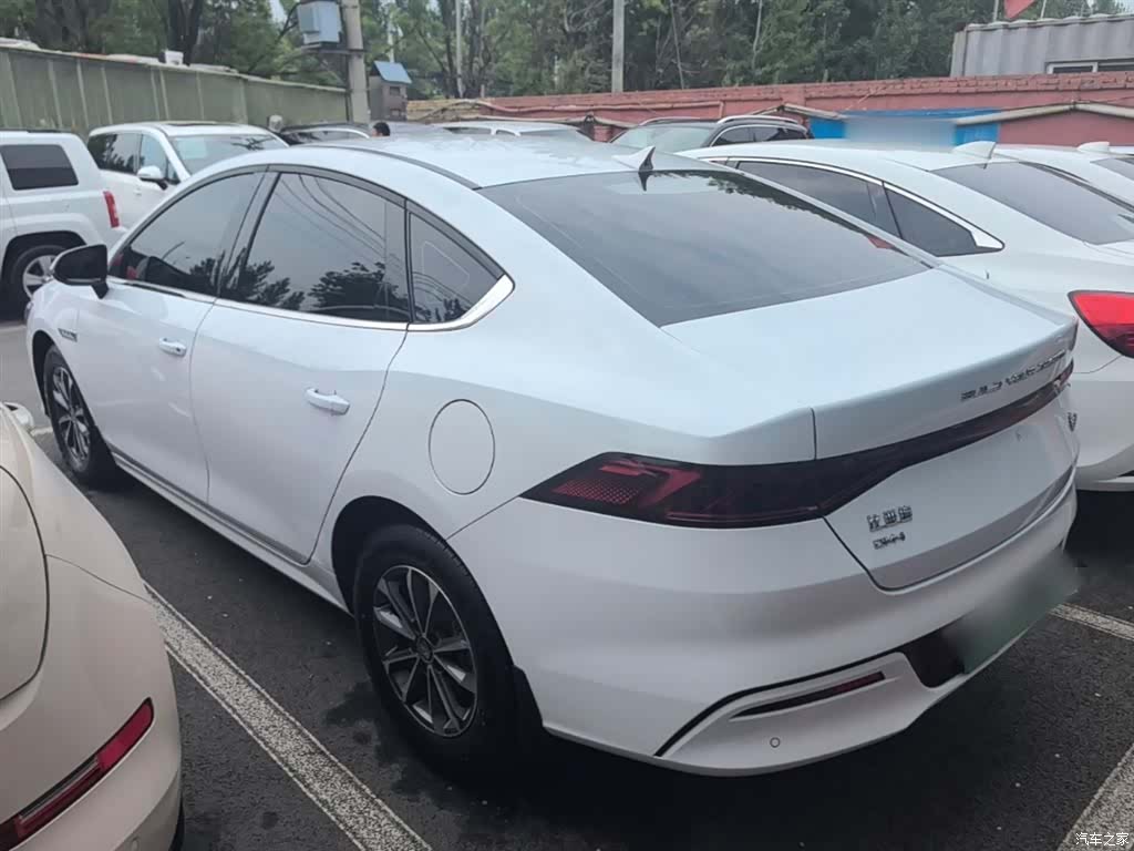 BYD Qin, 2024 все фото