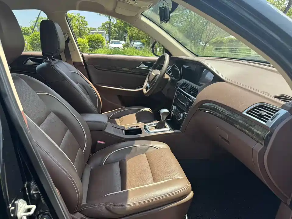 Leopaard Cheetah CS10