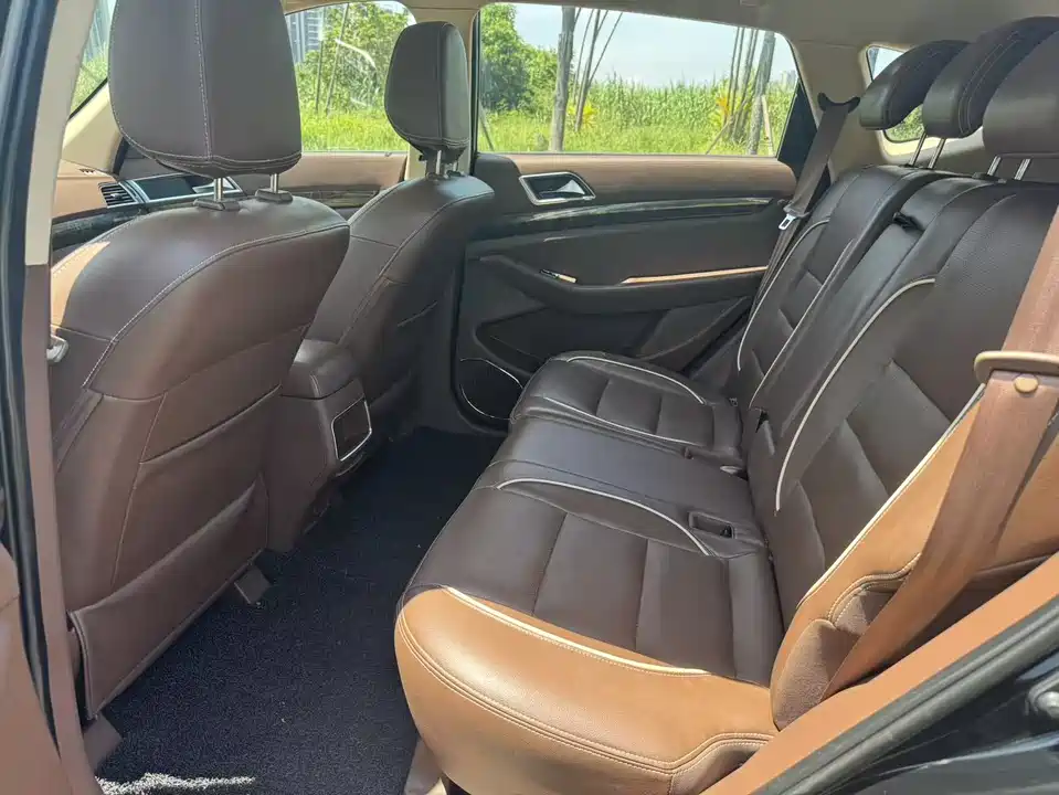 Leopaard Cheetah CS10