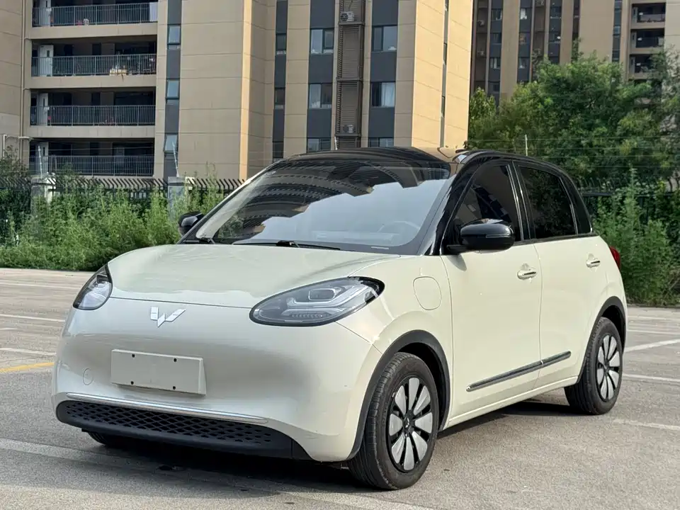 Wuling Wuling Bingguo Wuling Wuling Bingguo