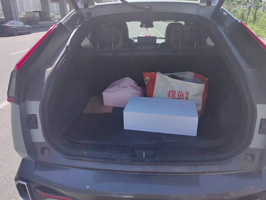 Trumpchi Shadow cool