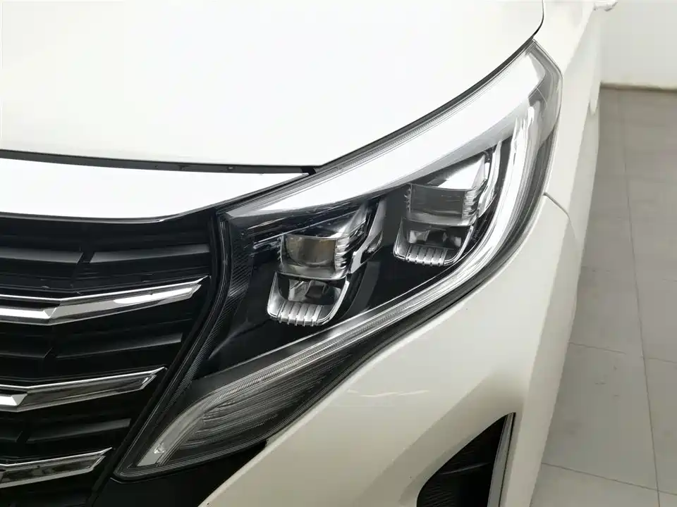 Trumpchi Trumpchi M8