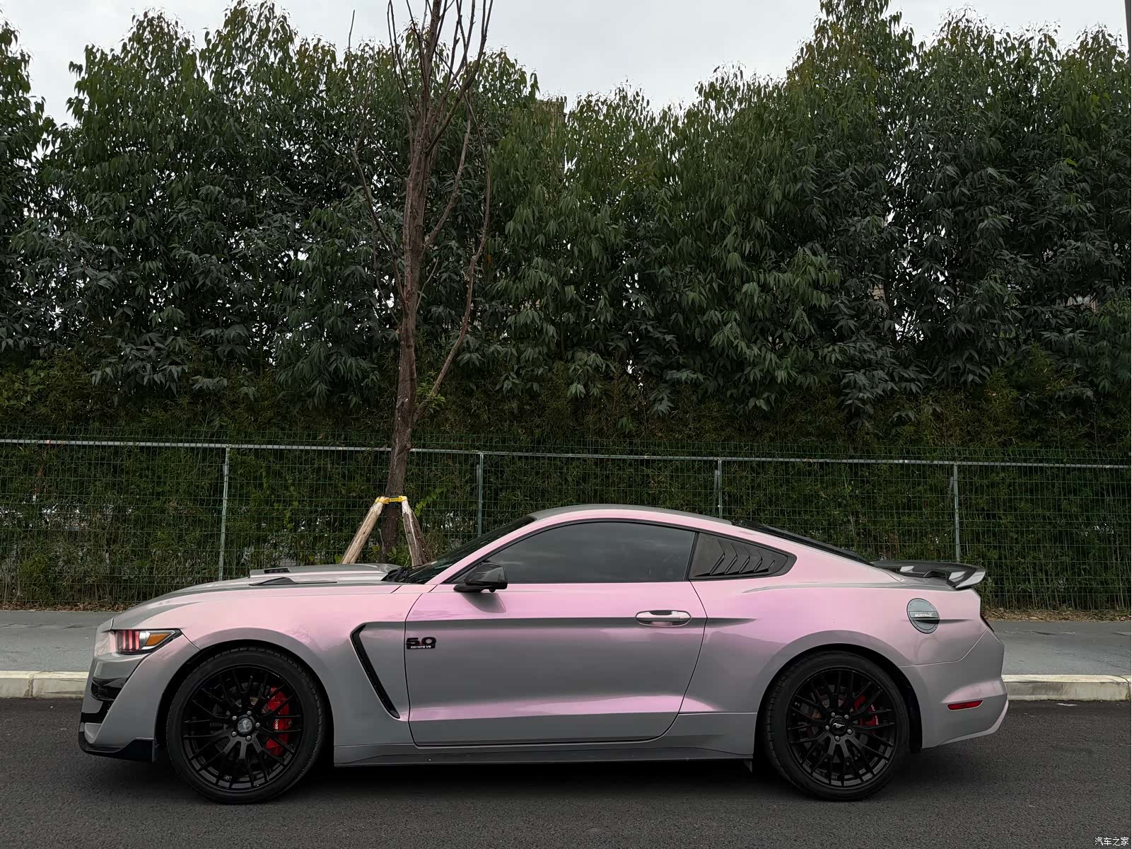 Ford Mustang, 2016 3
