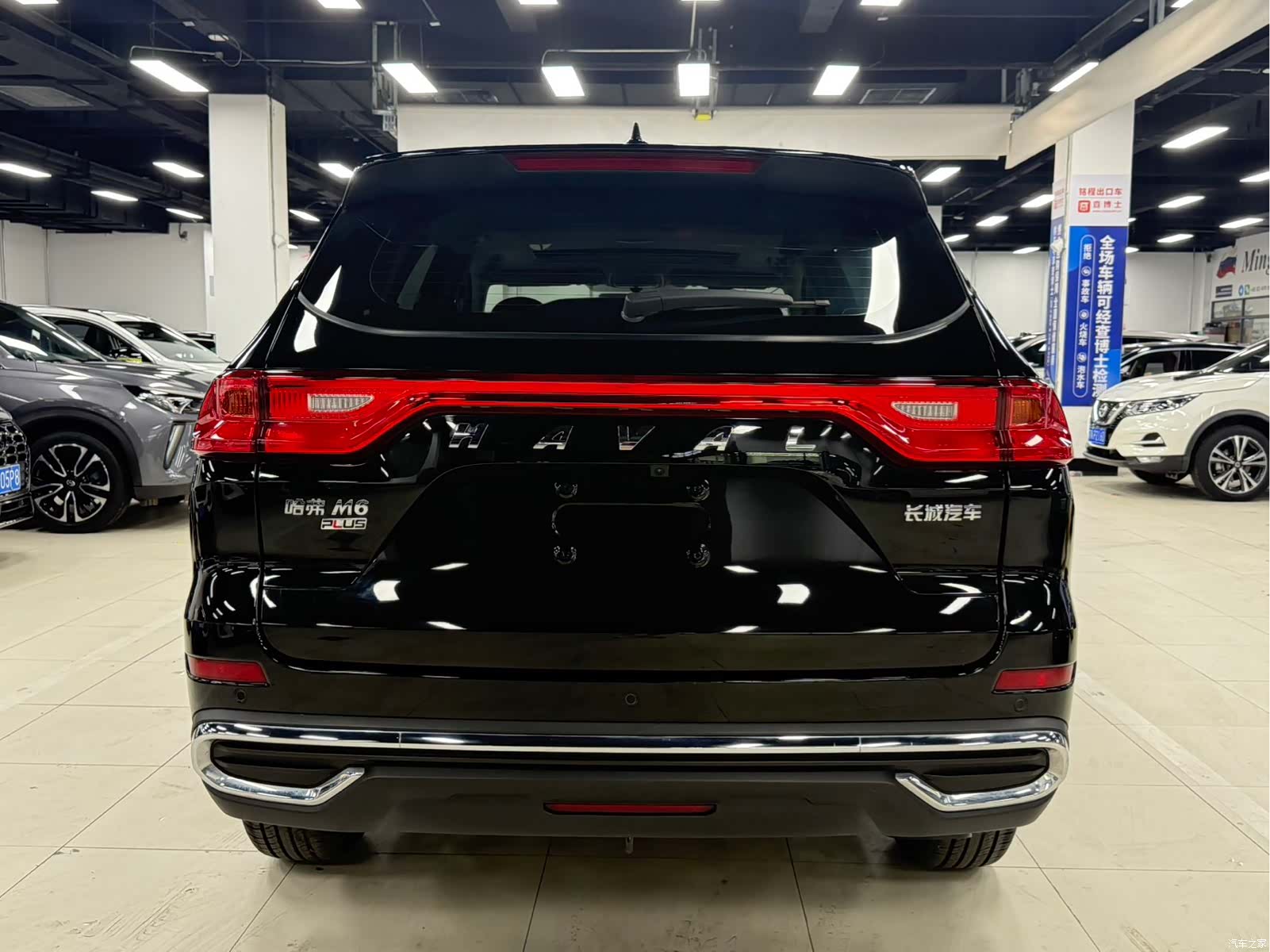 Haval M6, 2023 все фото