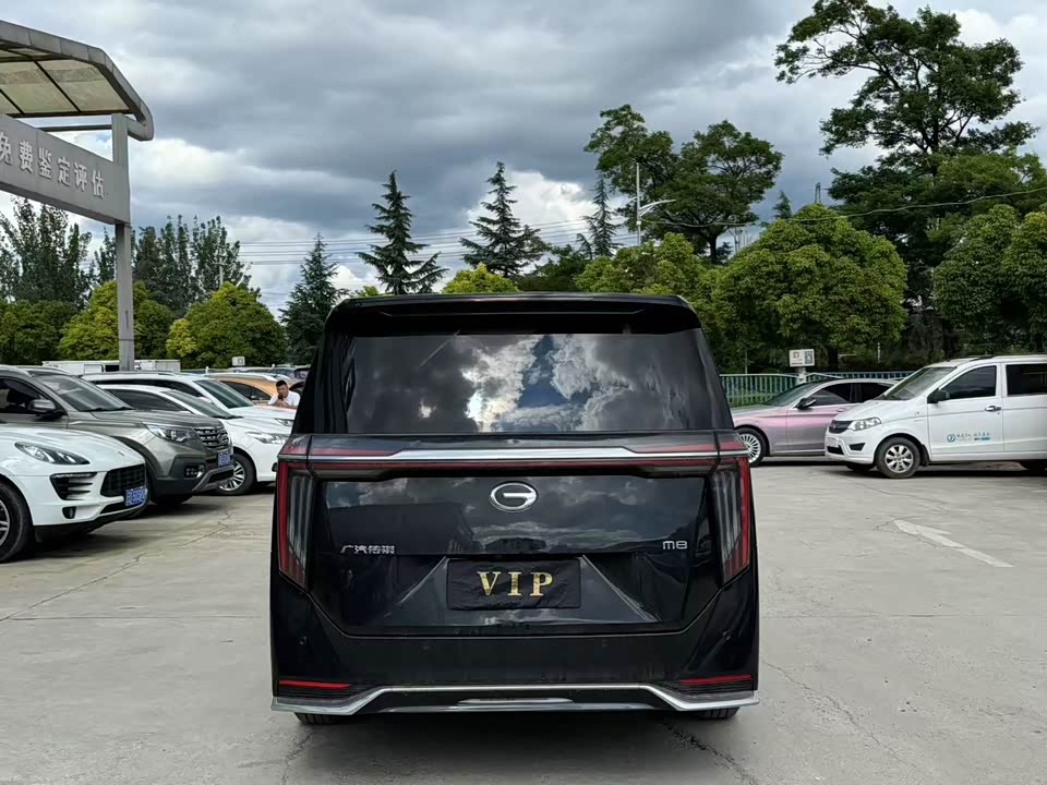 Trumpchi Trumpchi M8