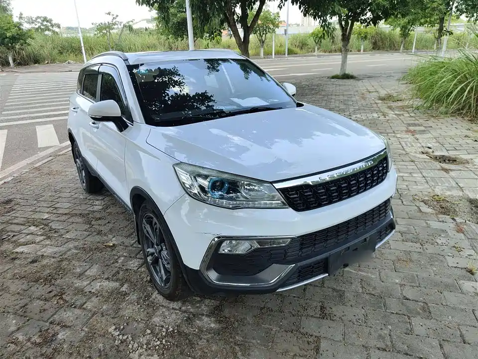 Leopaard Cheetah CS9