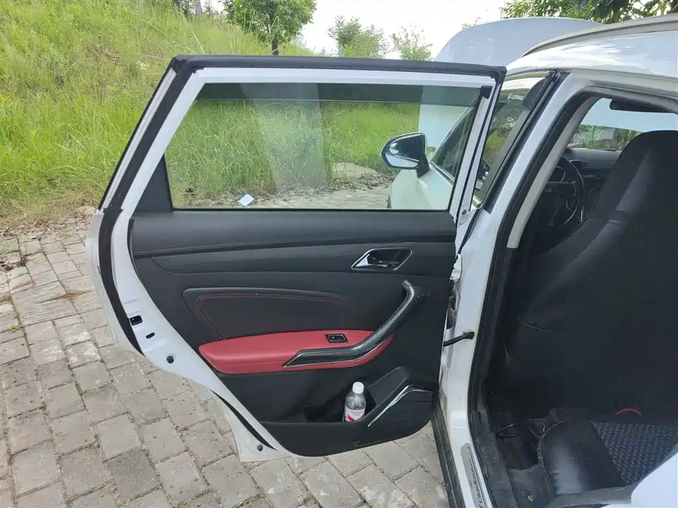 Leopaard Cheetah CS9