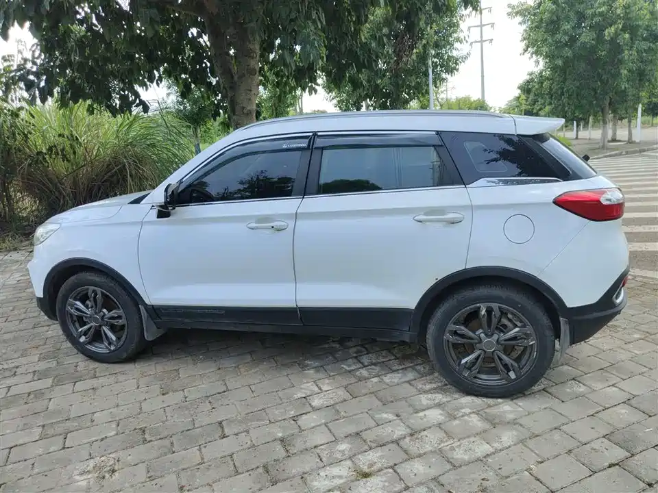 Leopaard Cheetah CS9