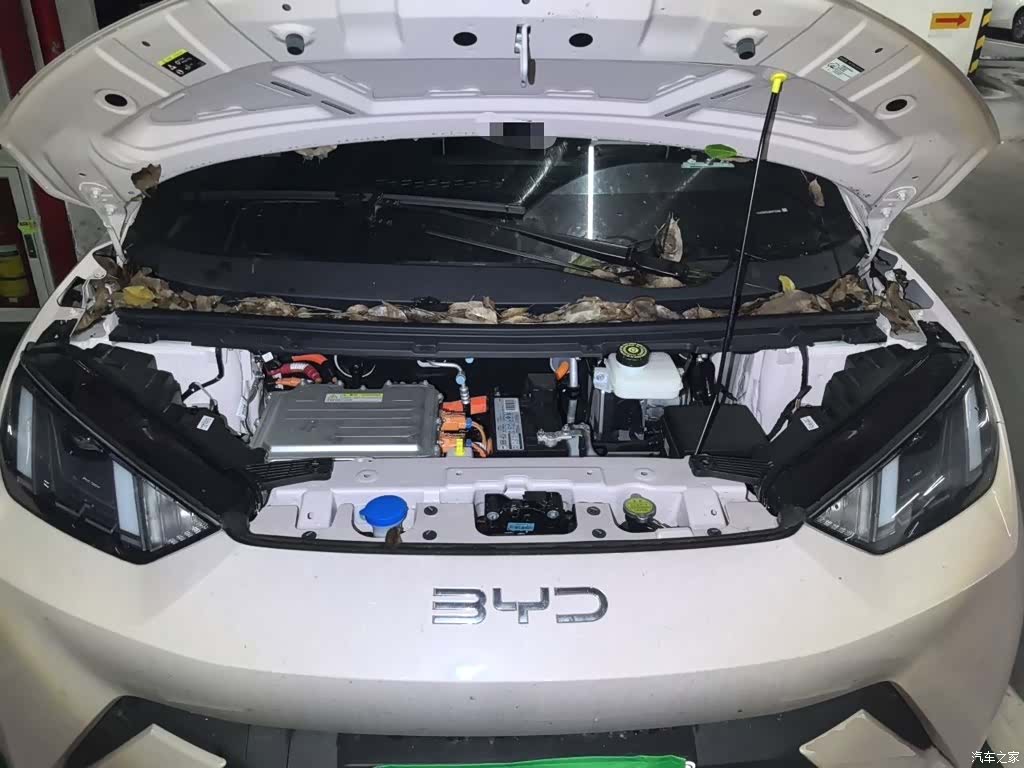 BYD Seagull, 2024 16