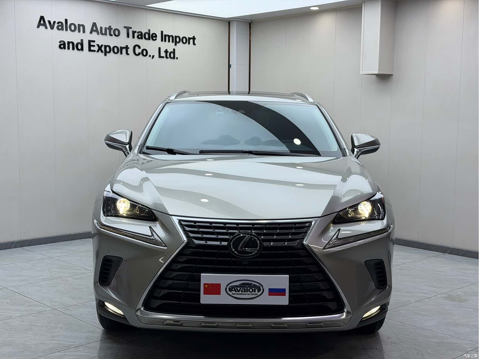 Lexus NX, 2020 2
