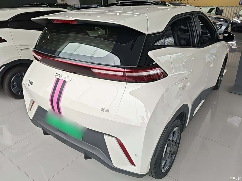 BYD Seagull, 2024 7