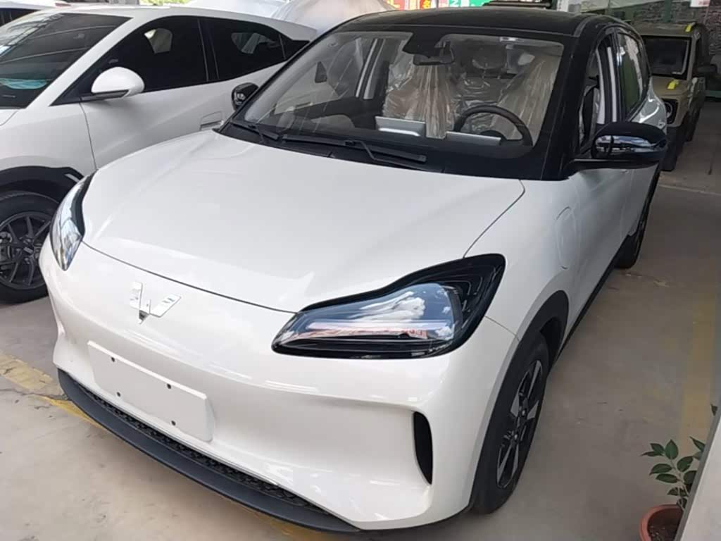 Wuling BinguoPLUS PLUS 2024 330km мест
