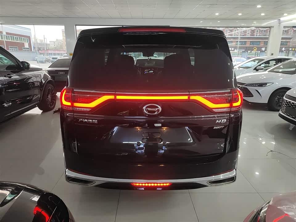 Trumpchi Trumpchi M8