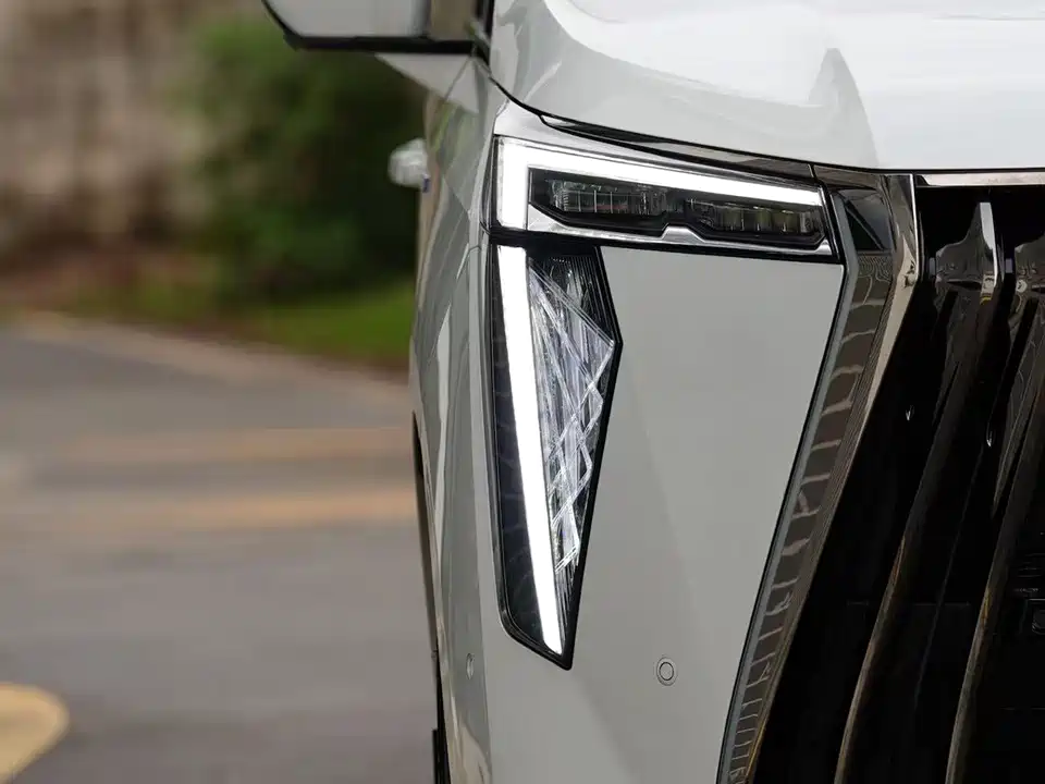 Trumpchi Trumpchi E9