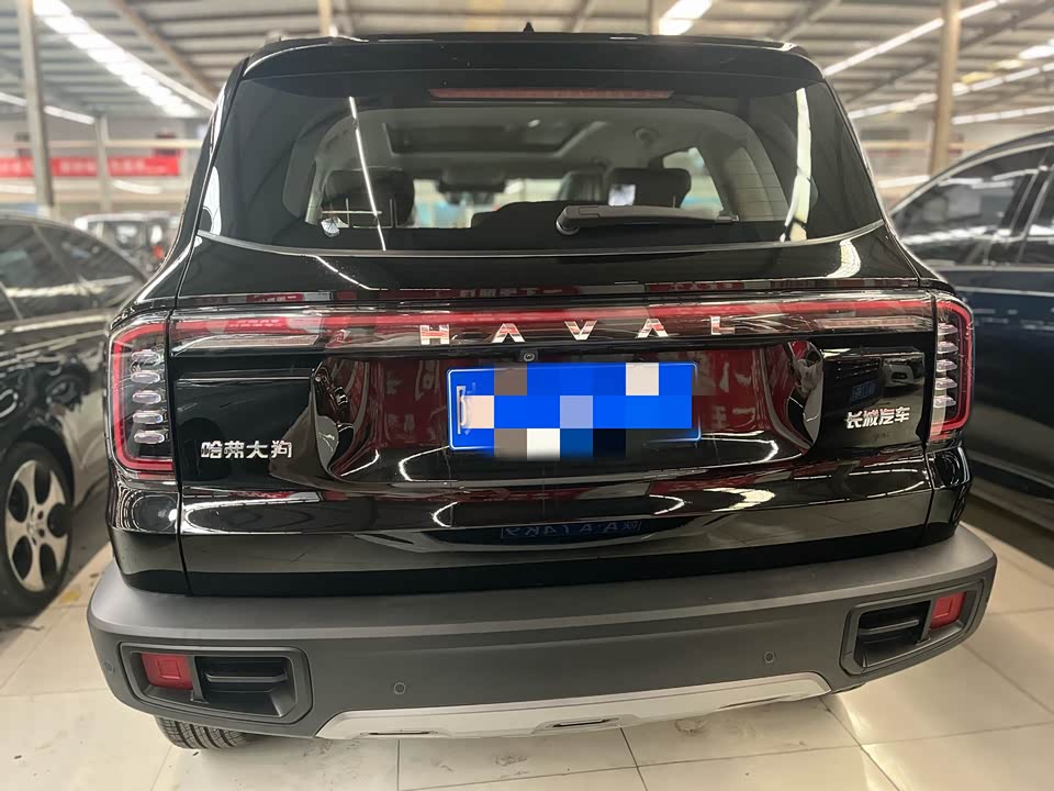 Haval Big dog