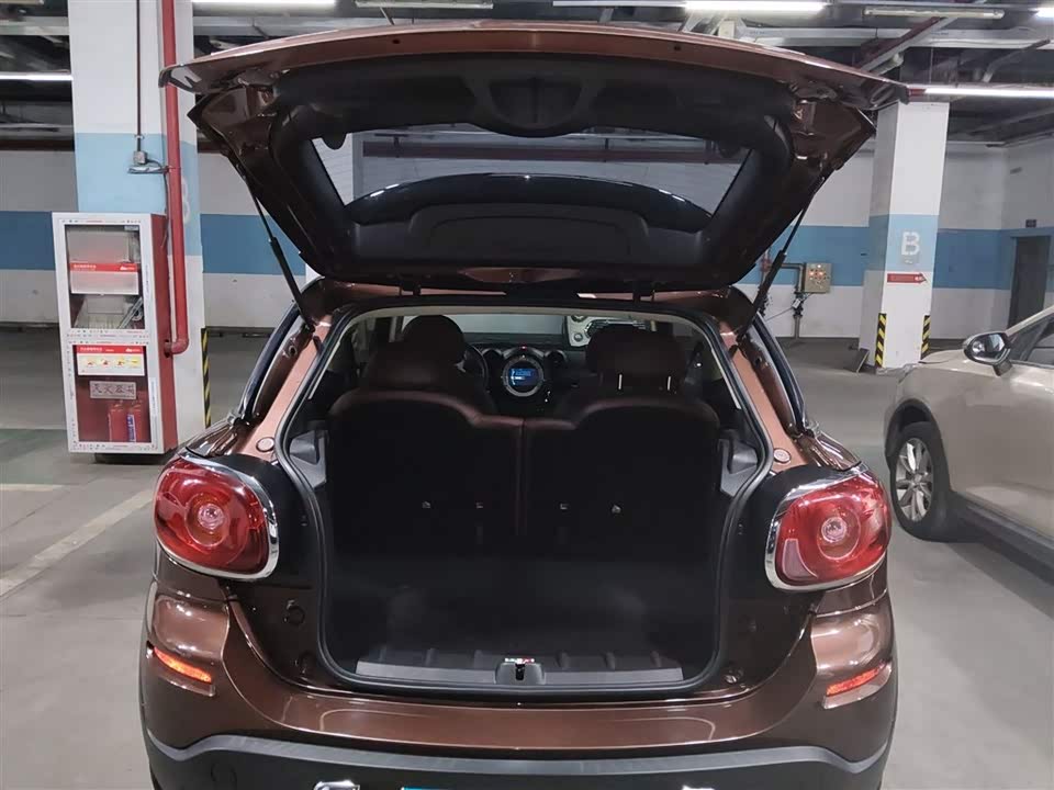MINI PACEMAN