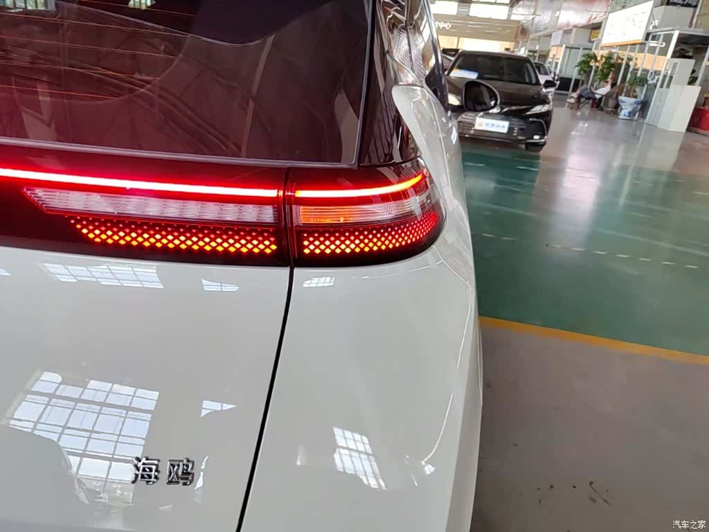 BYD Seagull, 2024 8