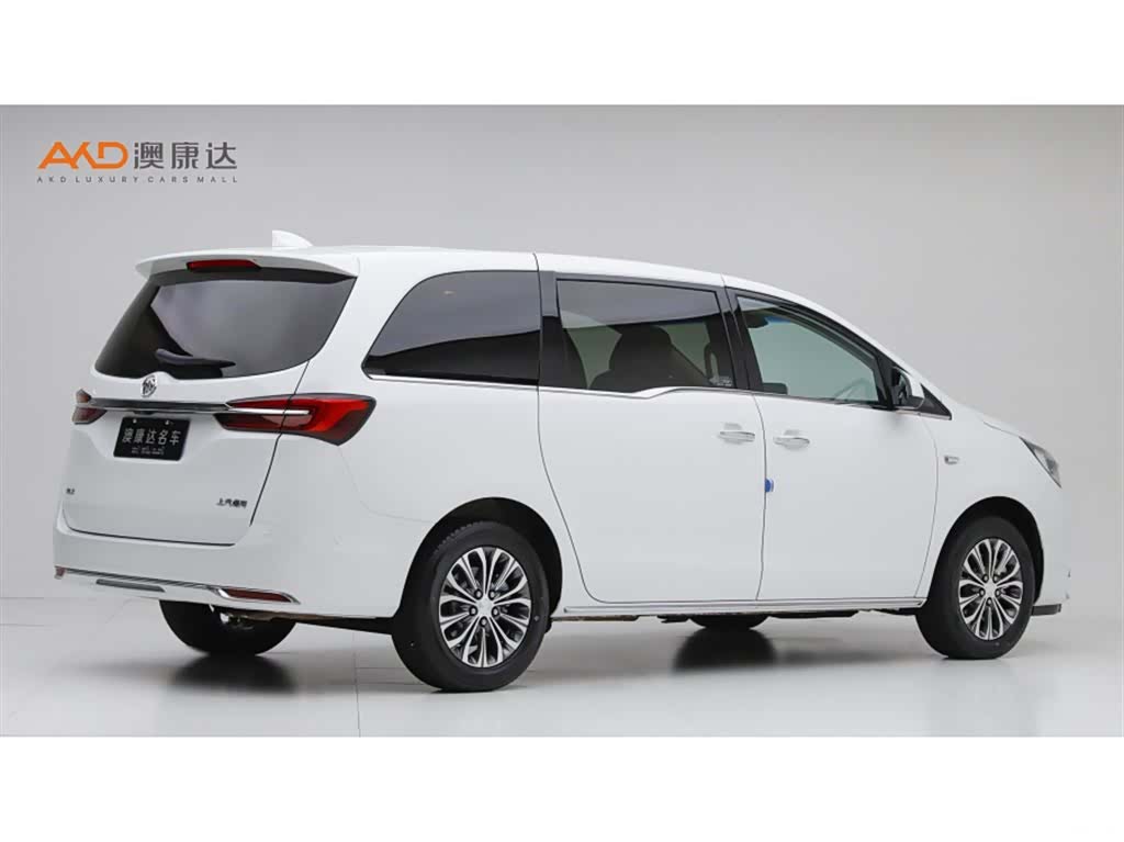 Buick GL8, 2023 3
