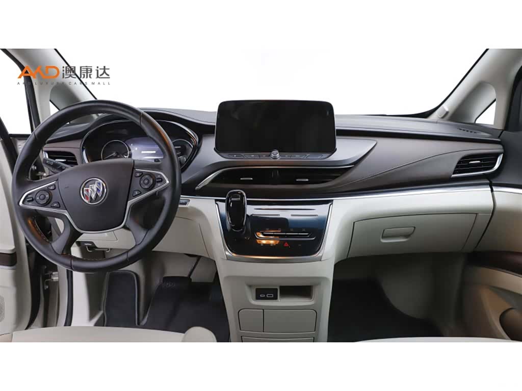 Buick GL8, 2022 все фото
