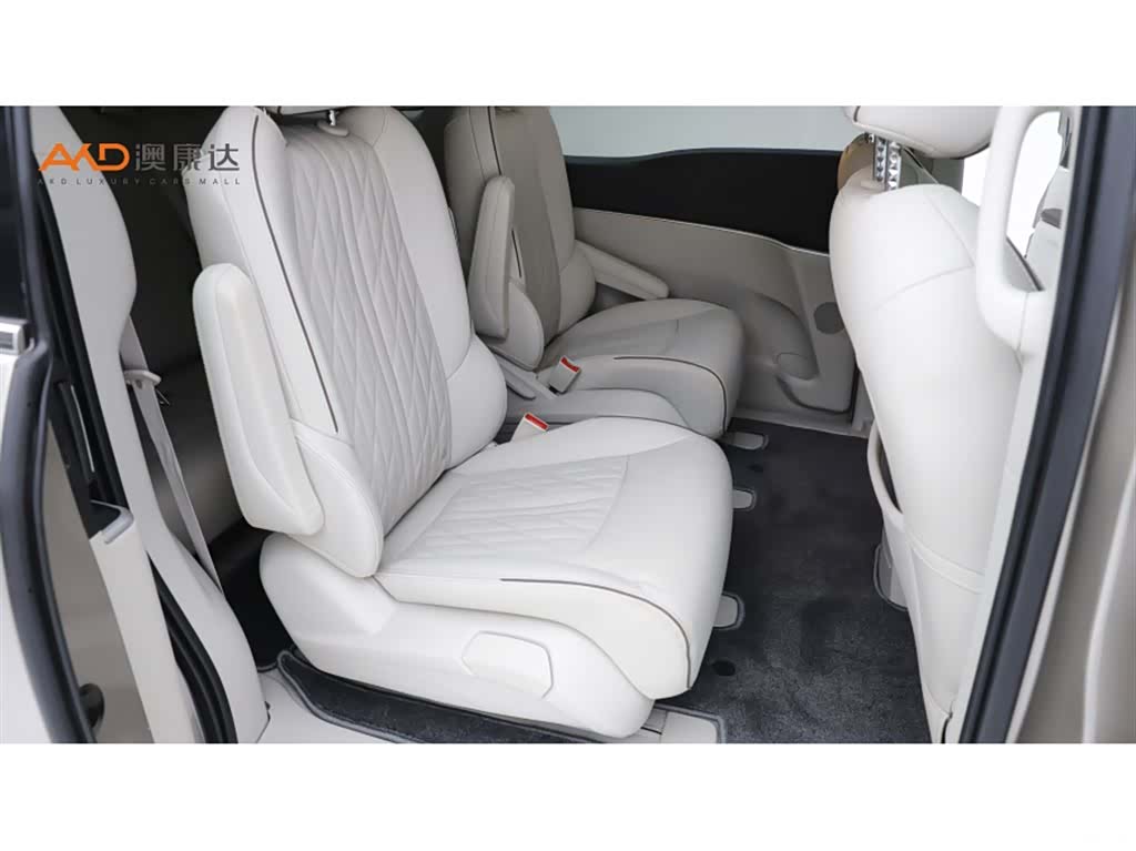 Buick GL8, 2022 8
