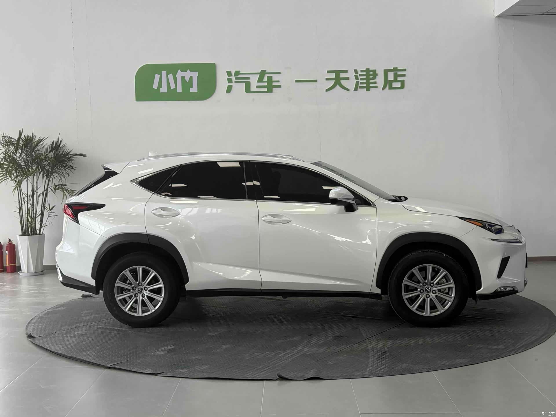 Lexus NX, 2021 6