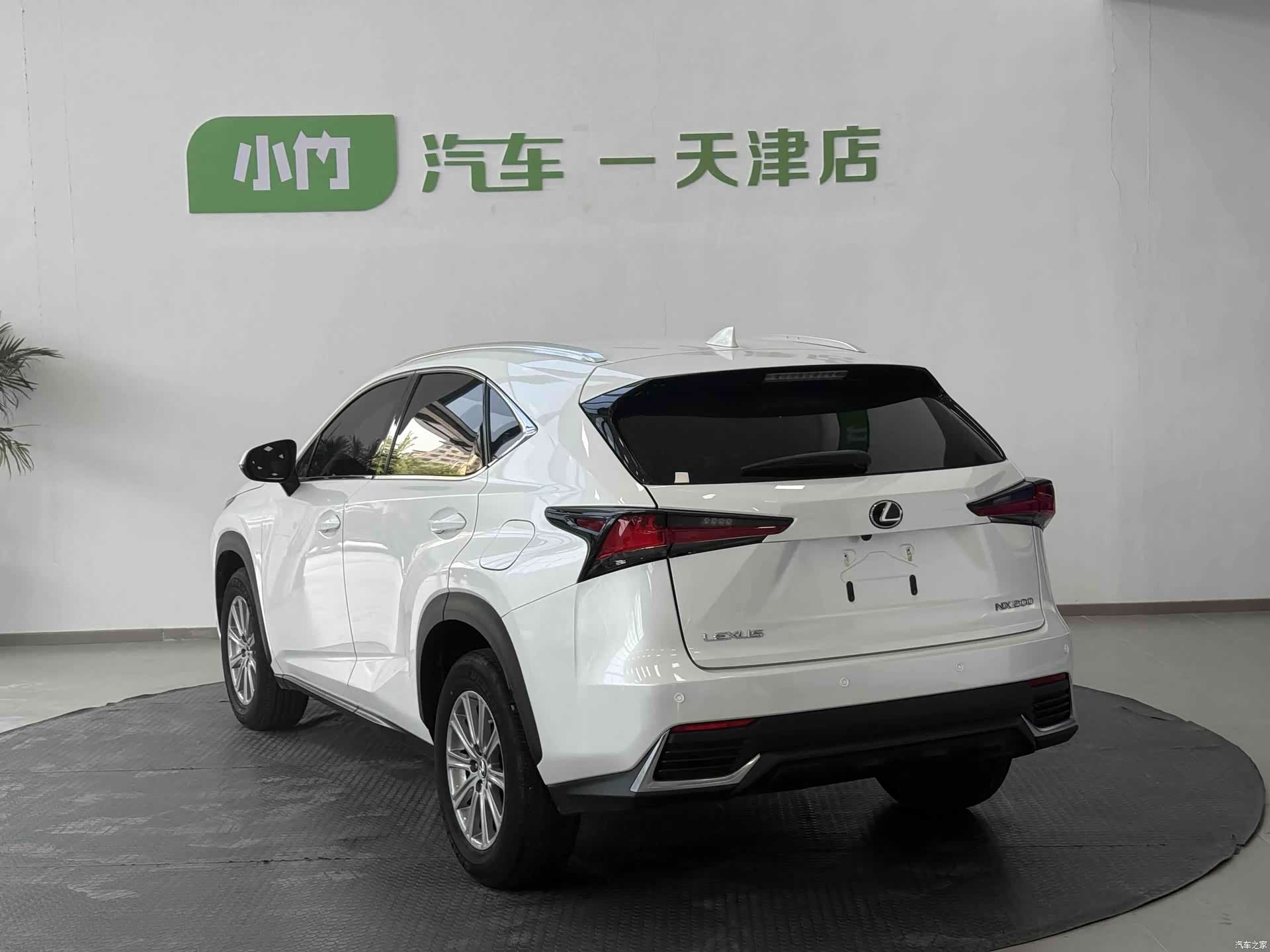 Lexus NX, 2021 все фото