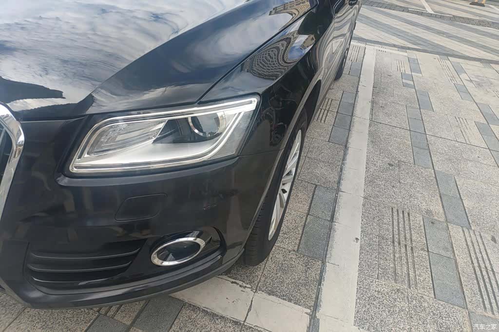 Audi Q5, 2013 все фото