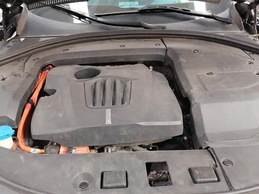 Weipai P8