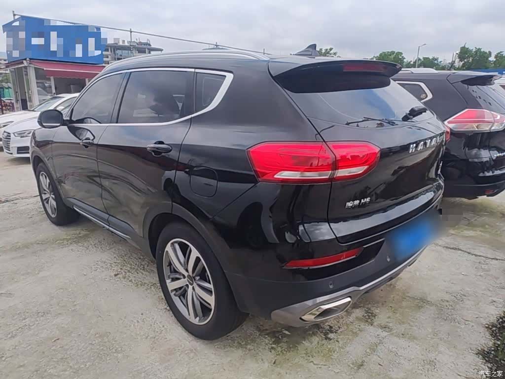 Haval H6, 2019 все фото