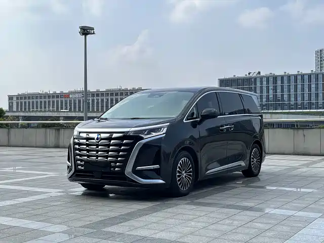Denza D-9 2023 — купить из Китая под заказ