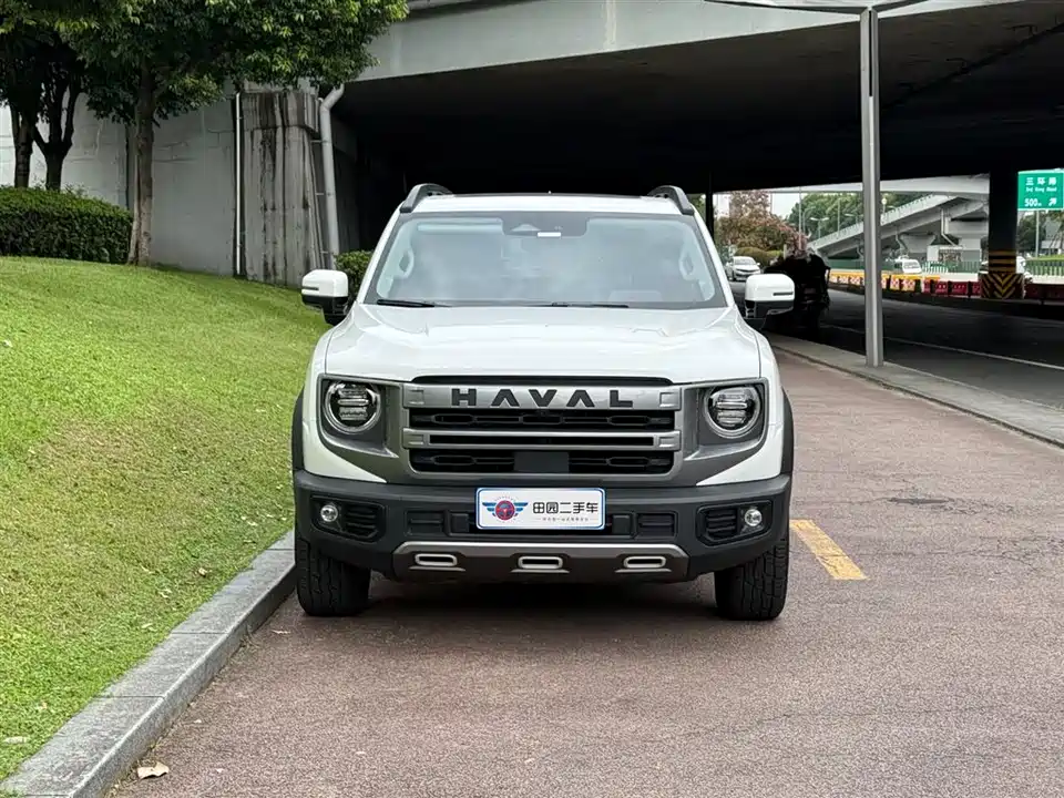 Haval Big dog