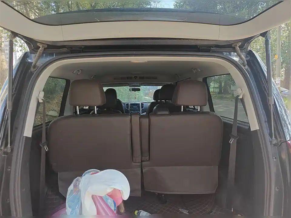 Forthing Lingzhi PLUS