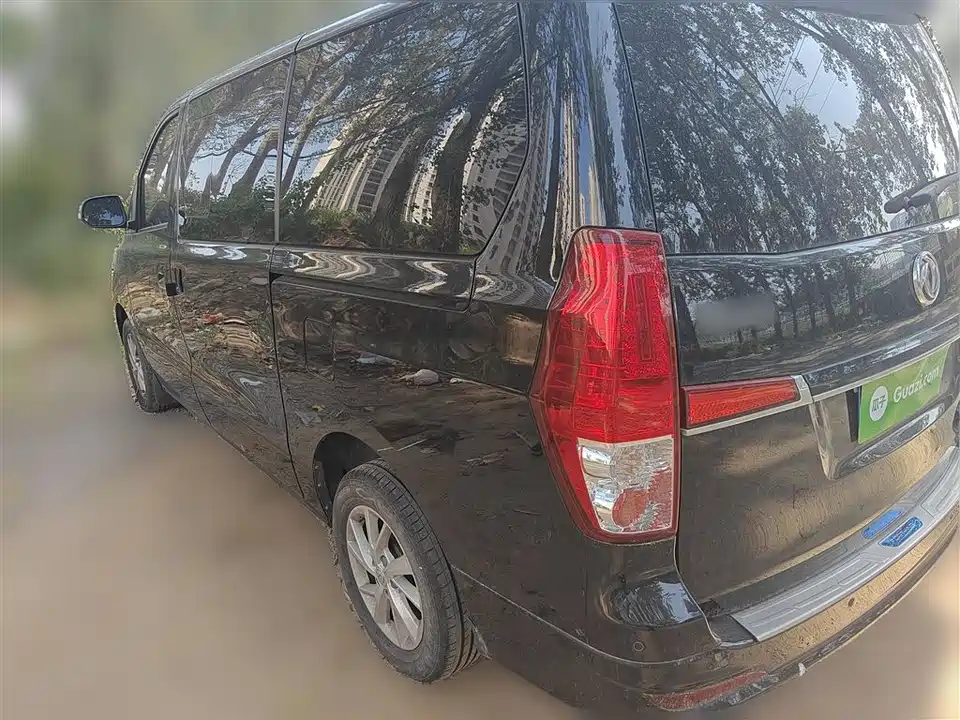 Forthing Lingzhi PLUS