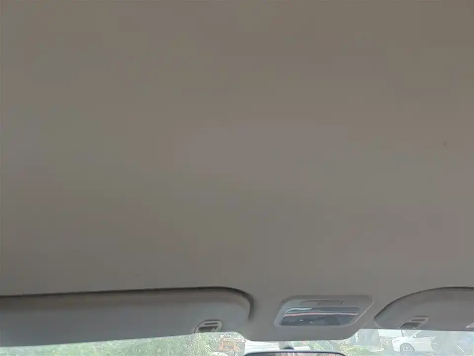 Forthing Lingzhi PLUS