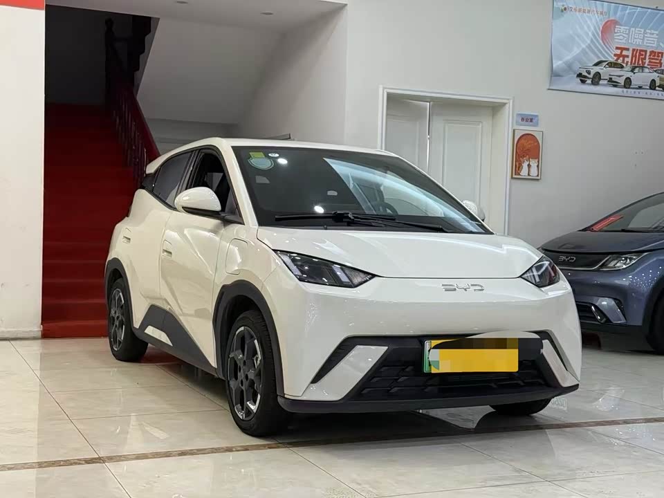 BYD Seagull