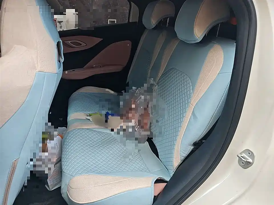 BYD Seagull