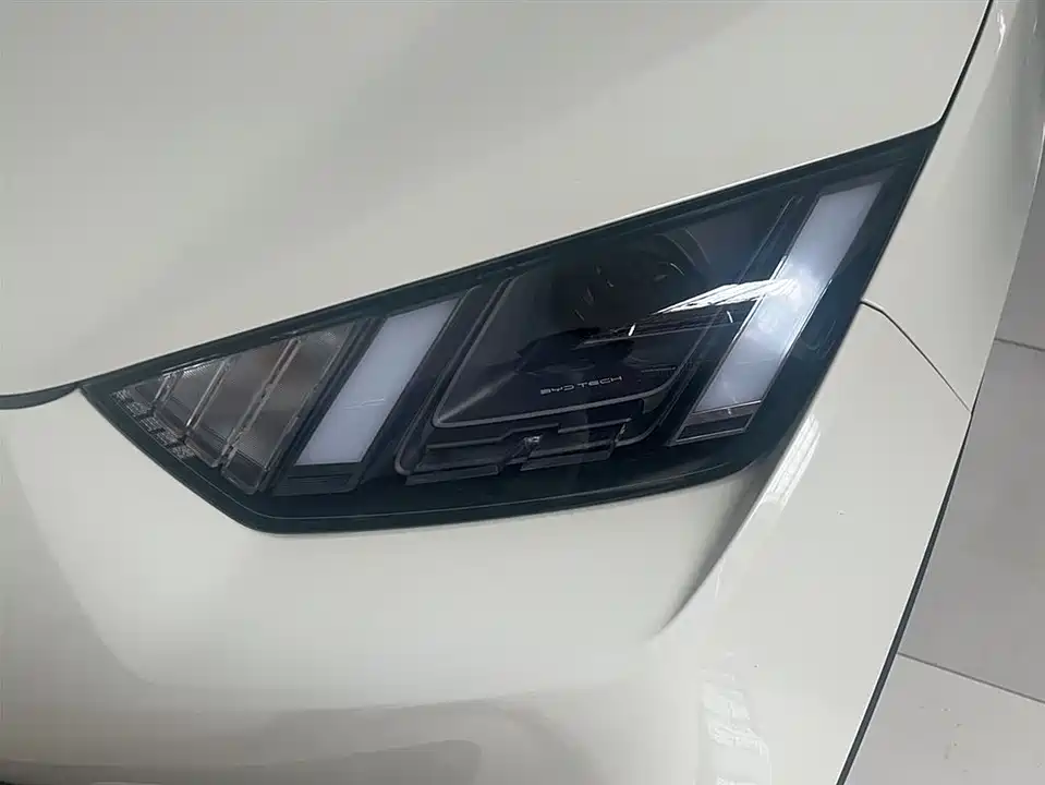 BYD Seagull