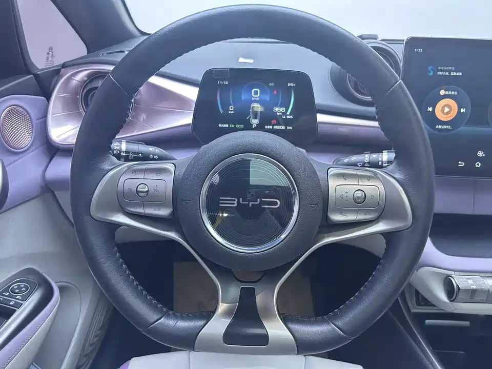 BYD dolphin BYD dolphin