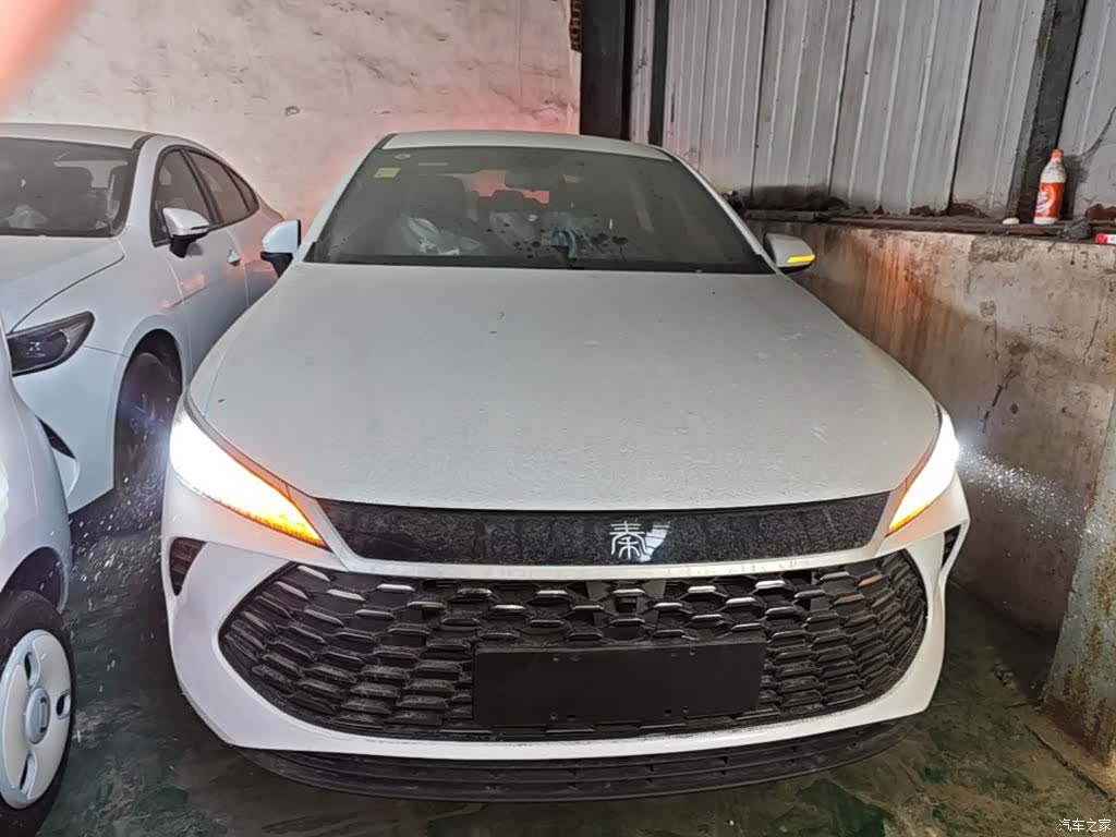 BYD Qin, 2026 3