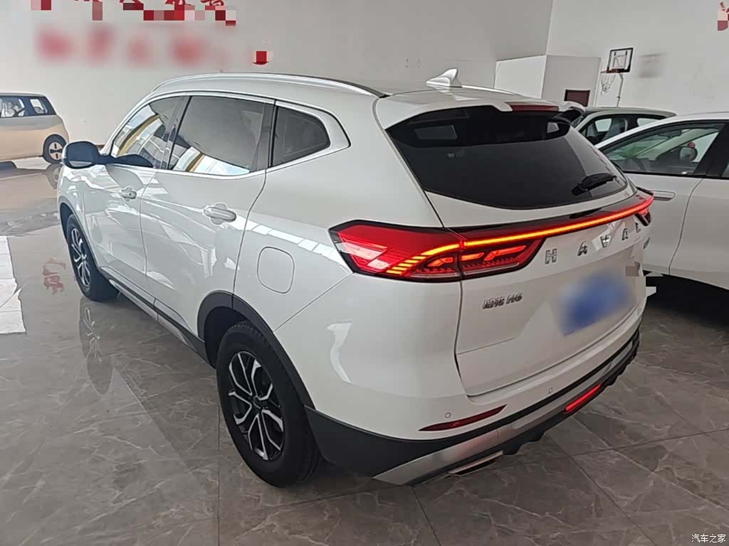 Haval H6, 2022 все фото