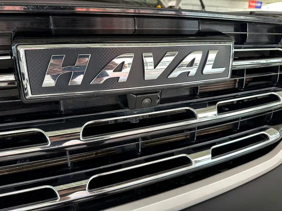 Haval Big dog