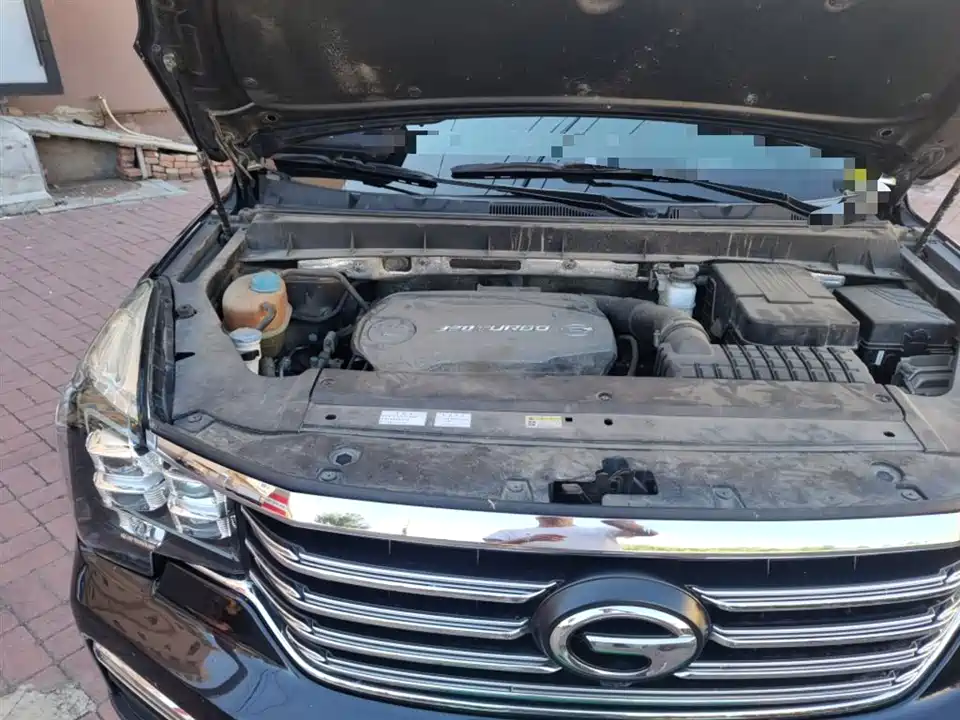 Trumpchi Trumpchi GS8