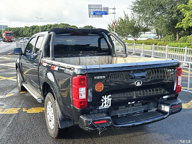 Great Wall D20D, 2019 4