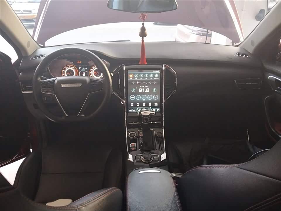 Leopaard Cheetah CS9