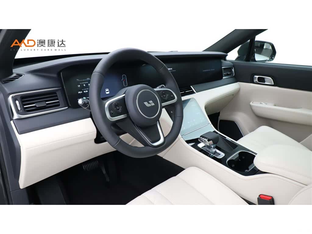 Li Auto ONE, 2021 6