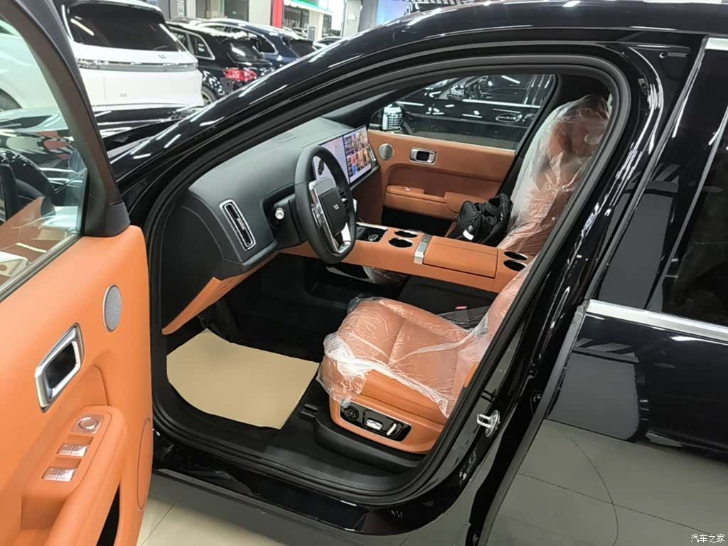 Li Auto L9, 2022 16